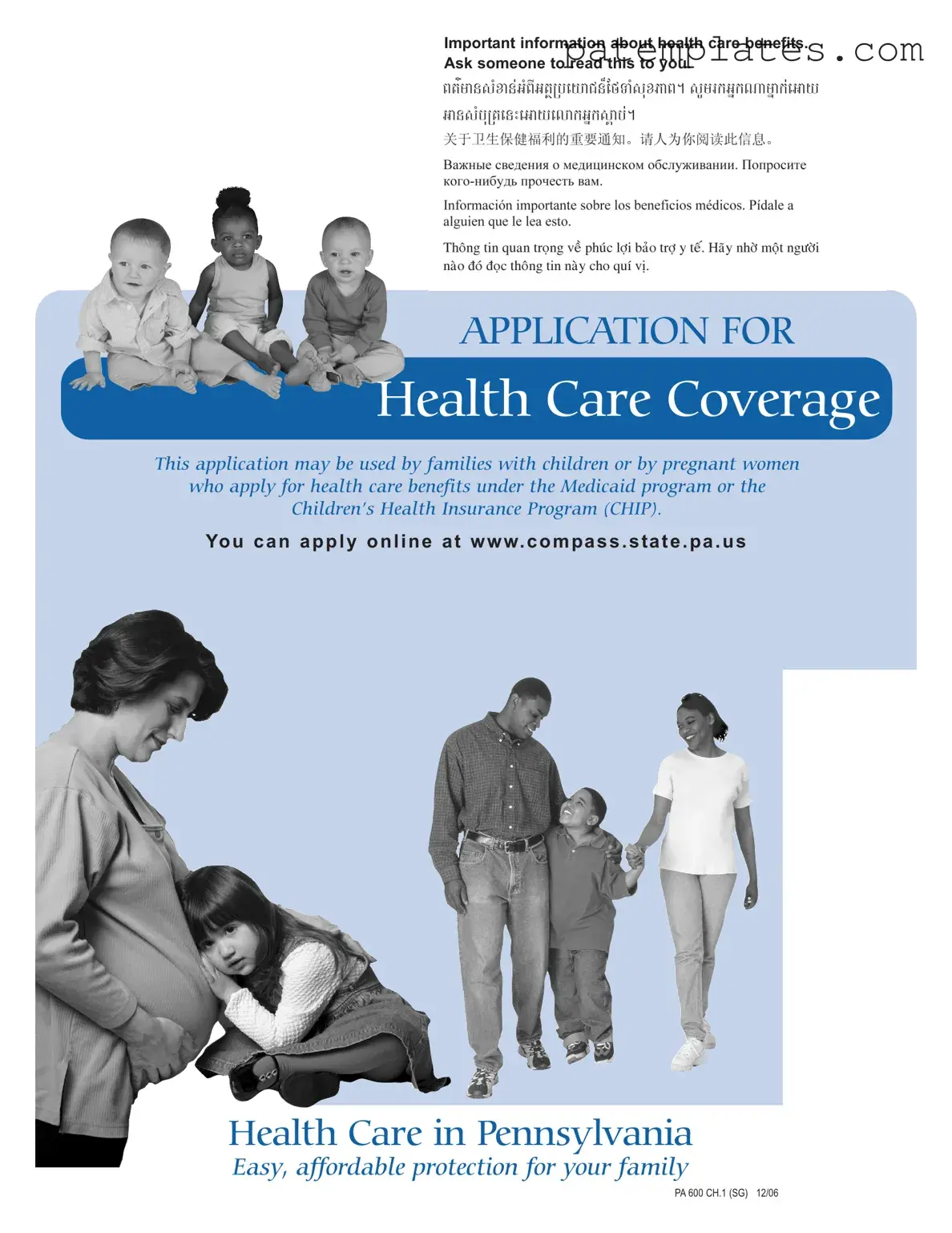 Fill in Your Pa Ch 600 Form