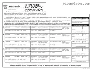 Fill in Your Pa 1809 Sg Form
