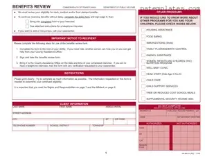 Fill in Your Pa 600R Form