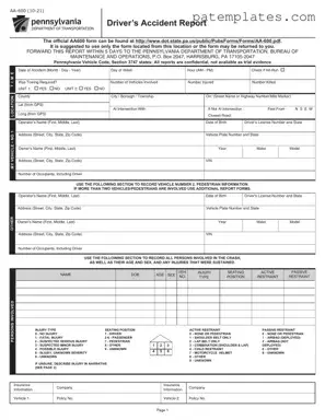 Fill in Your Pa Aa 600 Form